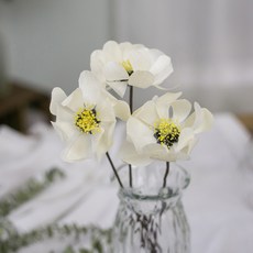 GAPANG 乾花和諧號02, 白色的