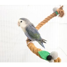 조류용 잭과 콩나무 횃대, 나무, 1개