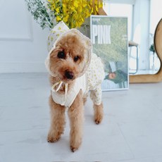 BAIGOEM 狗狗花朵寶寶連身衣, 黃色