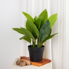 瑪西金盞花 室內裝飾人造樹 48cm, 1個, 白鶴芋