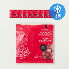 글로벌냉동식품 중국산 딸기(냉동), 10개, 1kg