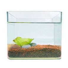 Rora Pet 迷你黃土魚缸套組, 隨機發貨