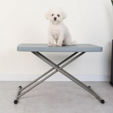 DING DONG PET 經典款寵物美容桌, 1個, 灰色