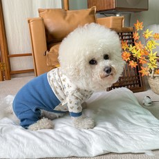 BYDAMSOOMI 小狗寶寶花韓服一體機, 藍色