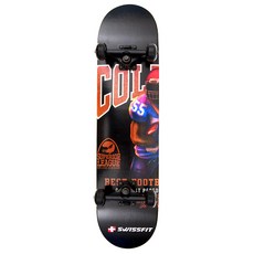 swissfit 高級滑板 + 專用袋, IVY LEAGUE, 1個