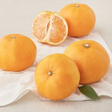 프레시픽 천혜향, 1.5kg(대과, 4~5입), 1팩