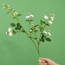 Mabsoshop 仿真漸層迷你人造花 RK1400 5入, 白色, 1個