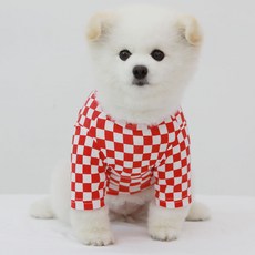 럭키페터 강아지 미니체크 티셔츠, 화이트/레드, 1개