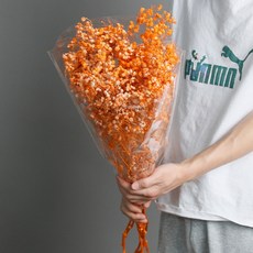 소니오 프리저브드플라워 소형 안개꽃 꽃다발, 06 오렌지