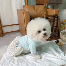 bydamsoomi 狗狗韓服 花仙女連身裙 + 吊飾, 薄荷綠