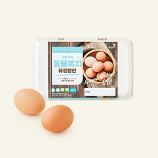 한스팜 동물복지 인증 왕란 1.02kg, 1개, 15구 1개, 15구