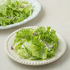 샐러팜 패밀리 샐러드, 350g, 1개