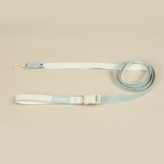 리토가토 반려동물 워키펫 핸즈프리 리드줄, 민트, 1개