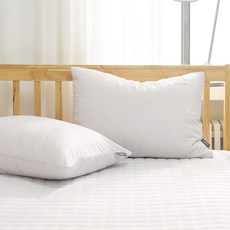 오싹 접촉냉감 쿨 여름 베개커버 + 베개솜 세트, 그레이, 2세트