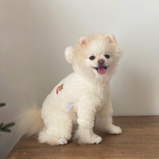 봉쥬르뚜뚜 강아지 Hi bear 보아 올인원, 크림, 1개