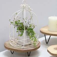 Gongganlove 經典鳥籠裝飾品, 1個, 白色