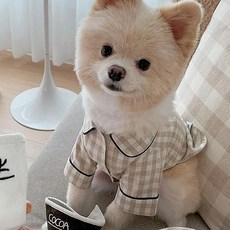 狗狗格紋睡衣 居家服, 卡其色, 1個