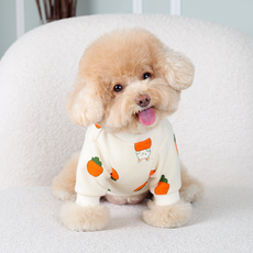 AMYLOVESPET 寵物 BL 胡蘿蔔刷毛T恤, 象牙白