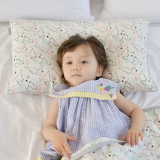 아띠블랑 인견 어린이베개 커버2p+ 속통1p, 디노포레스트