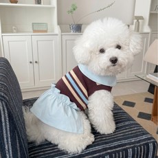 Nine to Get 寵物青春條紋Polo領背心, 裙子, 1個
