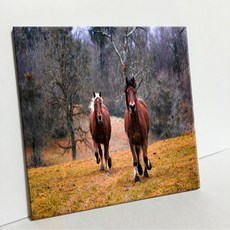 UDP 瓷磚畫框 1984977, 1個