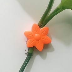 폴라 식물 고정 클립 오렌지, 10개