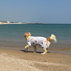 Barkdog 狗狗連身衣, 1個, 狗狗公園