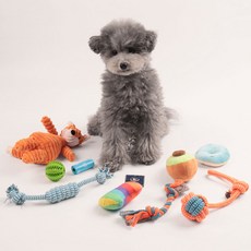 DING DONG PET 狗狗柔軟狐狸毛線球玩具9件組, 1套, 混和顏色