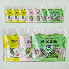 신선함을 그대로 샐러드믹스 혼합 10개입 800g, 1세트