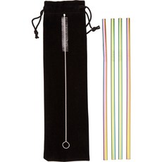 Premier 不鏽鋼直吸管 附清潔刷 + 收納袋, 1套, 4個裝