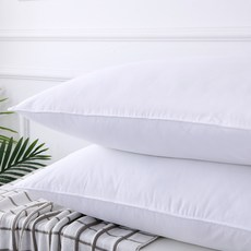 혜성 雲朵枕芯 拉鍊款 2入, 2個