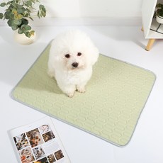 PASTEL PET 寵物彩色絎縫圖案墊, 綠色, 1個