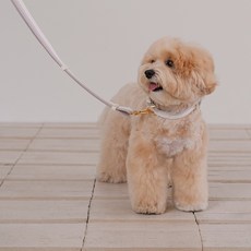 likalika 寵物 Breeze Walk 免持牽繩, 暖灰色, 1個