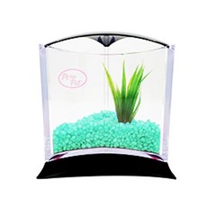 Rora Pet 三角魚缸+人造水草隨機出貨套組, 翡翠薄荷