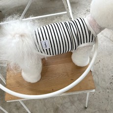 MAGDOG 狗狗Elle條紋T恤, 白色, 1個