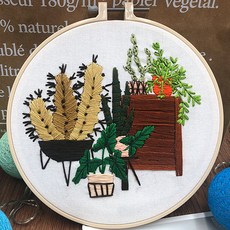 植物室內裝飾DIY 20公分, 1個, 02