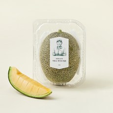강정열 농부의 저탄소 하미과 멜론, 900g, 1개