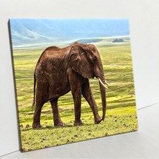 UDP 磁磚畫框 單品 A型 1421167, 素面白色