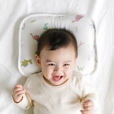 bebenuvo 基本印花枕頭, 恐龍款