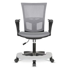 체어포커스 레오 발받침대 베이직 3각팔 블랙바디 사무용의자 메쉬 L01R, 올그레이