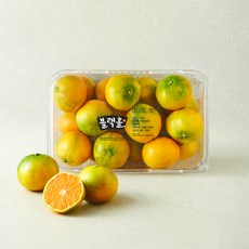 블랙홀 당도선별 10brix 감귤 로열과, 1개, 1.2kg