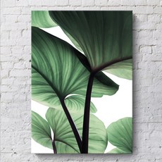 Tanesia TN13 彩色室內裝飾畫框, 類型2, 1個