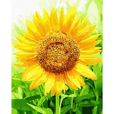 Play about DIY數字油畫 名畫繪製 40 x 50 cm 祝福的向日葵, 1個, 混合色