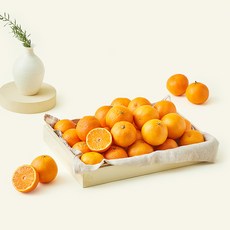 Sunkist 캘리포니아산 감귤 선물세트, 1세트, 3kg