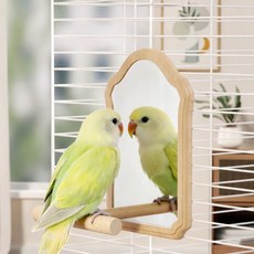 랜보어 앵무새 거울 스탠드 횃대 M, 우드, 1개