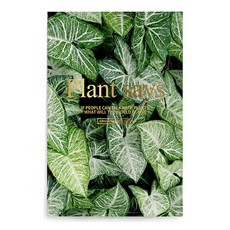 多用途紗簾, 16 型