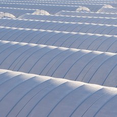 溫室用塑膠墊 8*12m*0.1mm, 1個