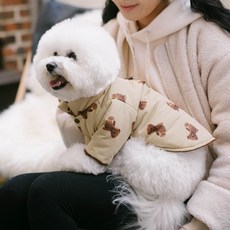에이미러브즈펫 강아지 베어 패딩, 옐로우, 1개
