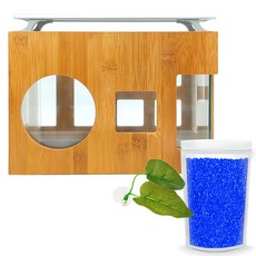 Aquatera 木質魚缸 AMZW30+魚缸裝飾仿真植物+造景石 1kg+LED燈組, 藍色（地板）