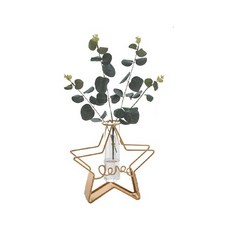 Dr Living Store 北歐現代極簡金色框架水培試管花瓶 星形, 金色(花瓶), 人造花2(尤加利)